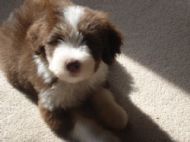 Sunbathing in the house